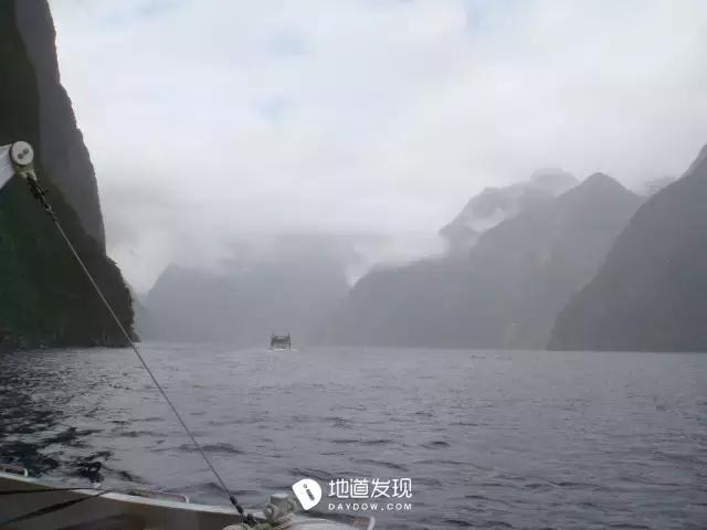 痛哭！即使今天抢不到新西兰打工旅行签证，也不能放弃新西兰啊！