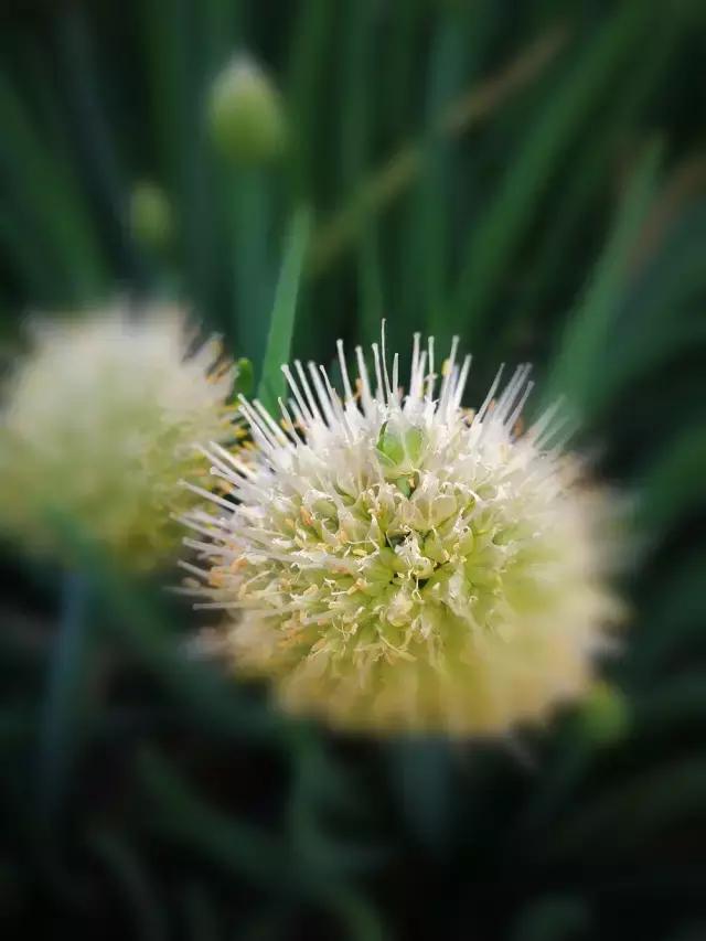 学了那么多拍照姿势还是用不上,学了多年摄影