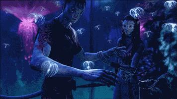 秘鲁巨型豚鼠介绍,秘鲁巨型豚鼠好养吗