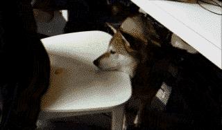 刚才你嫂子来电话说又堵了，你快去看看吧