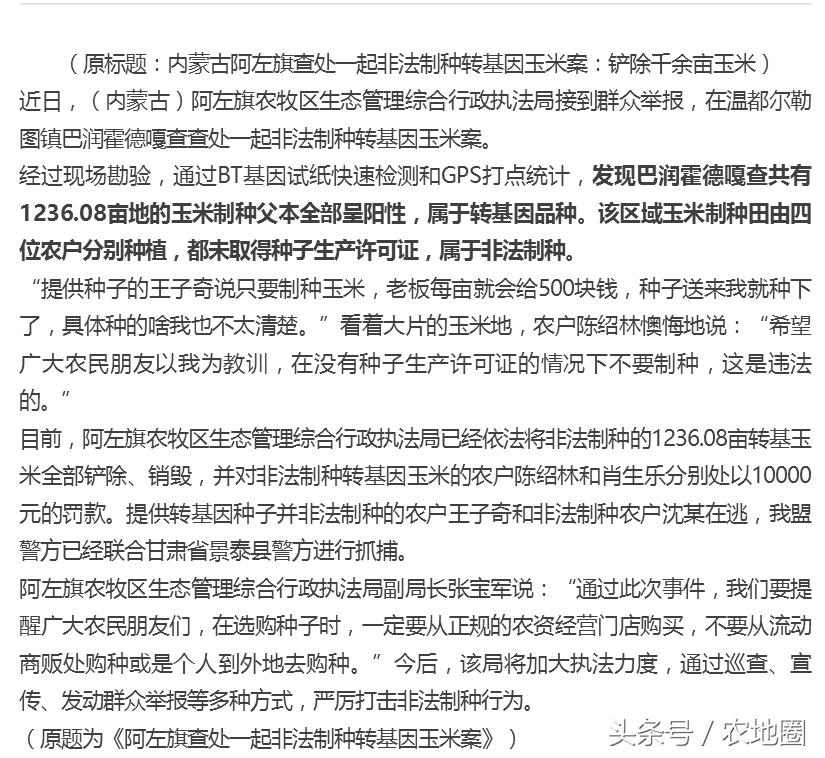 种植转基因玉米违反哪一条,农民自己的地种转基因玉米犯法吗