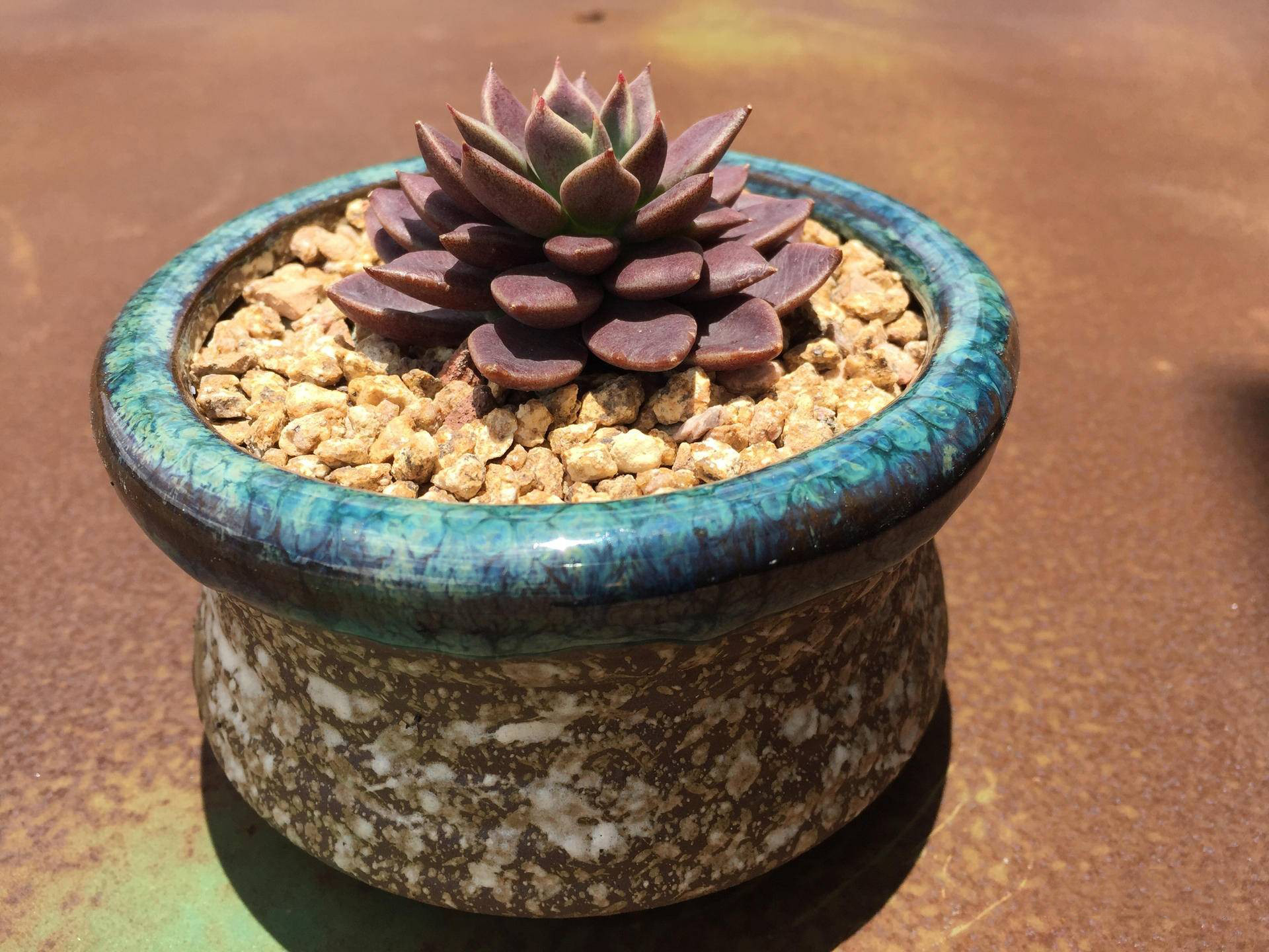 生锈的破铁门图片,生锈的铁门破了