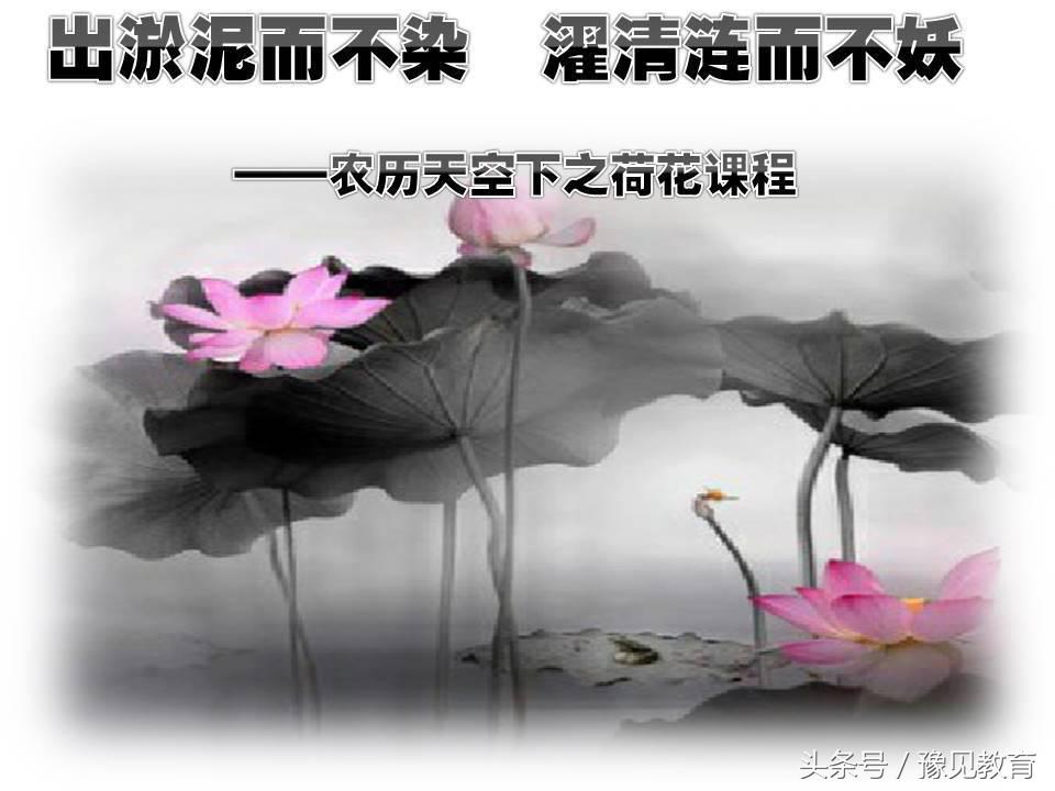 鍗楁槑鏁欒偛闆嗗洟椹幉,鍗楁槑鏁欒偛椹幉鑰佸笀