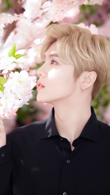 鹿晗迪丽热巴感情分析,鹿晗回应与迪丽热巴的关系如何