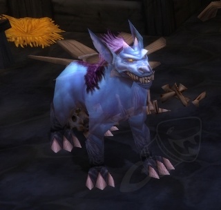 魔兽世界猎人稀有精英宝宝,猎人7.0宝宝推荐