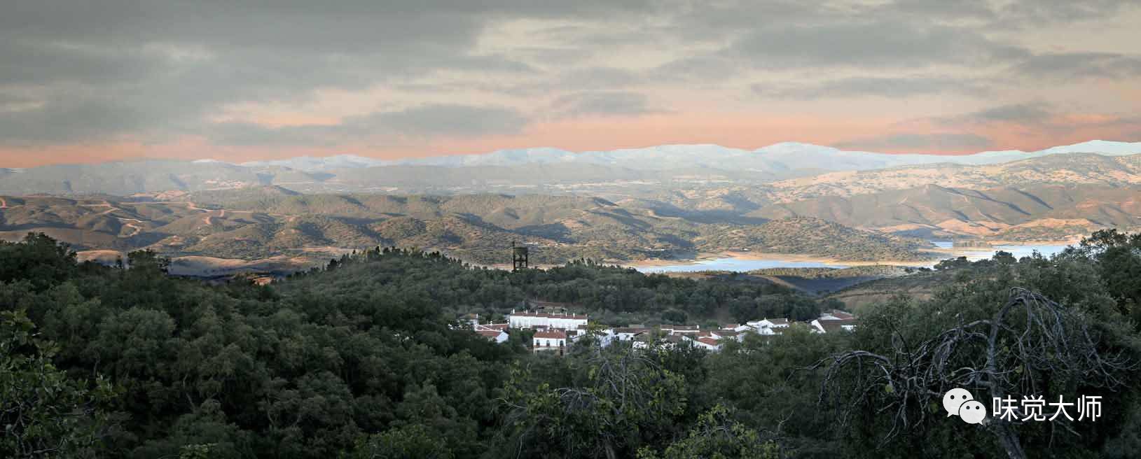 伊比利亚火腿怎么吃最好,伊比利亚火腿新手入门教程