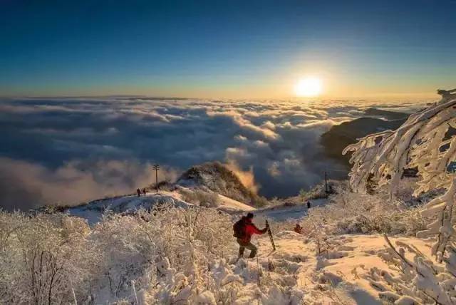 滨江今年还有几个新楼盘,滨江最近新开楼盘