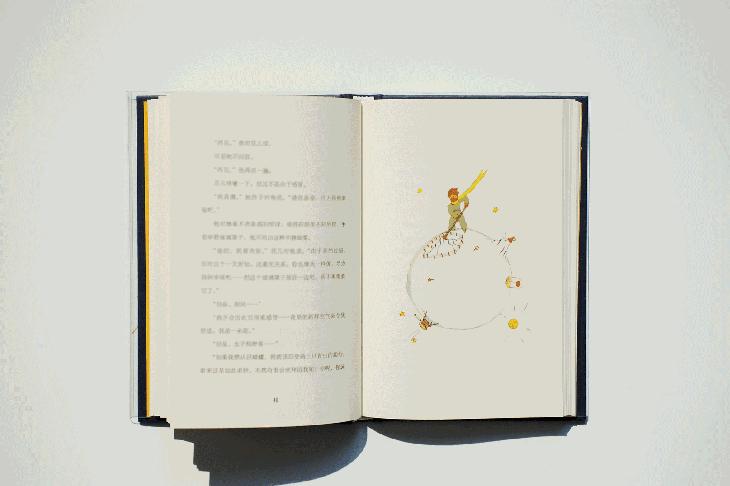 小王子独一无二的你,只有你是我独一无二