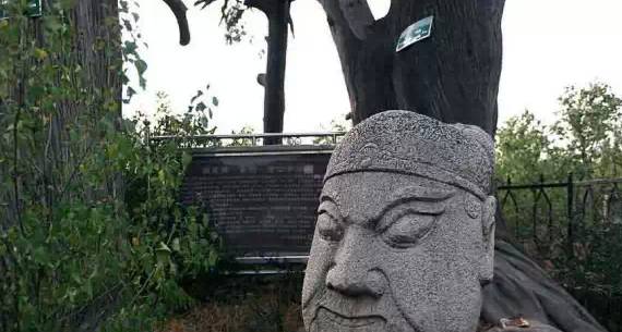 西安最有名旅游景点排名,西安十大值得去的景点排名