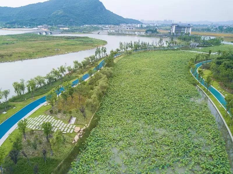 少女心美炸！大杭州竟然藏了条七彩跑道，柠檬黄、蒂芙尼蓝、墨色绿……现在去还能看到十里荷花……