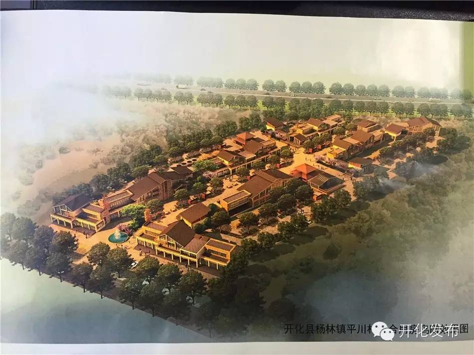 杨林的近况,杨林现在怎么样