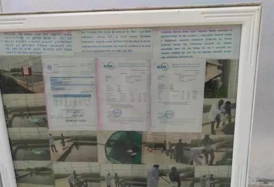 世界最大的玫瑰基地,世界最大玫瑰种植园