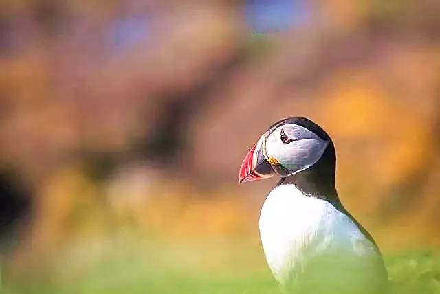 出门旅游如何看日出日落,一个人去看日落是怎样的体验