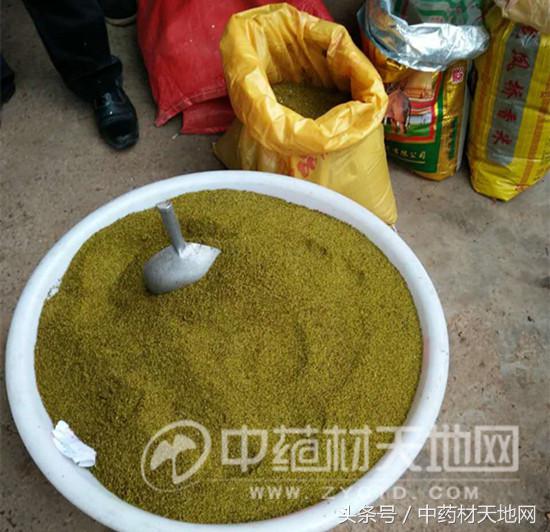 黄连市场行情报告 (全国黄连市场总需求量)