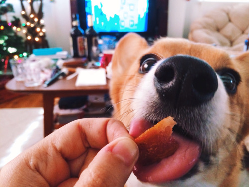 一个人很孤单该干什么呢,一个人很孤单做什么最合适