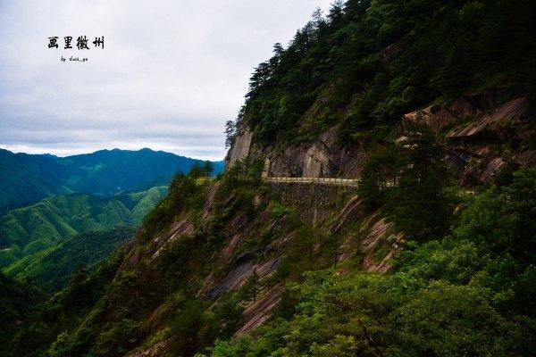黄山四绝之一奇松介绍,黄山的四绝分别是奇松怪石