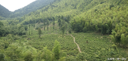 南平宝山旅游景区,福建南平市旅游景点大全