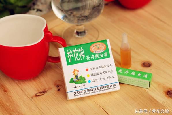 花卉驱蚊虫最好的方法,盆栽花卉如何除虫