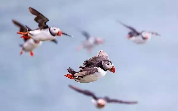 出门旅游如何看日出日落,一个人去看日落是怎样的体验
