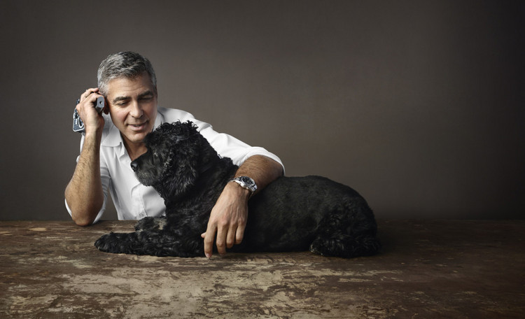 去欧洲必买的几款商品,带你逛遍美国好货