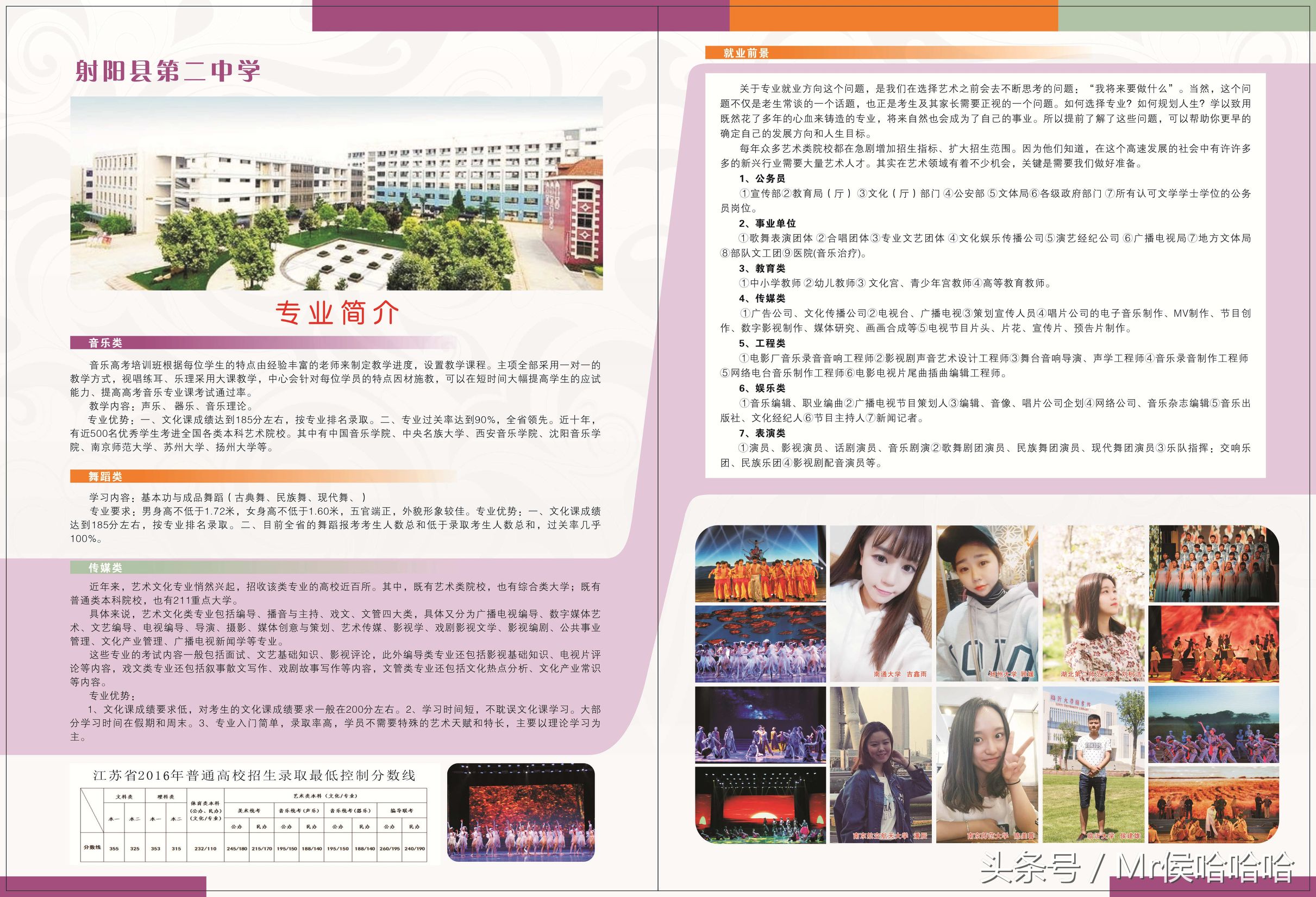 射阳二中2016年美术达本率怎么样,射阳二中本科录取率
