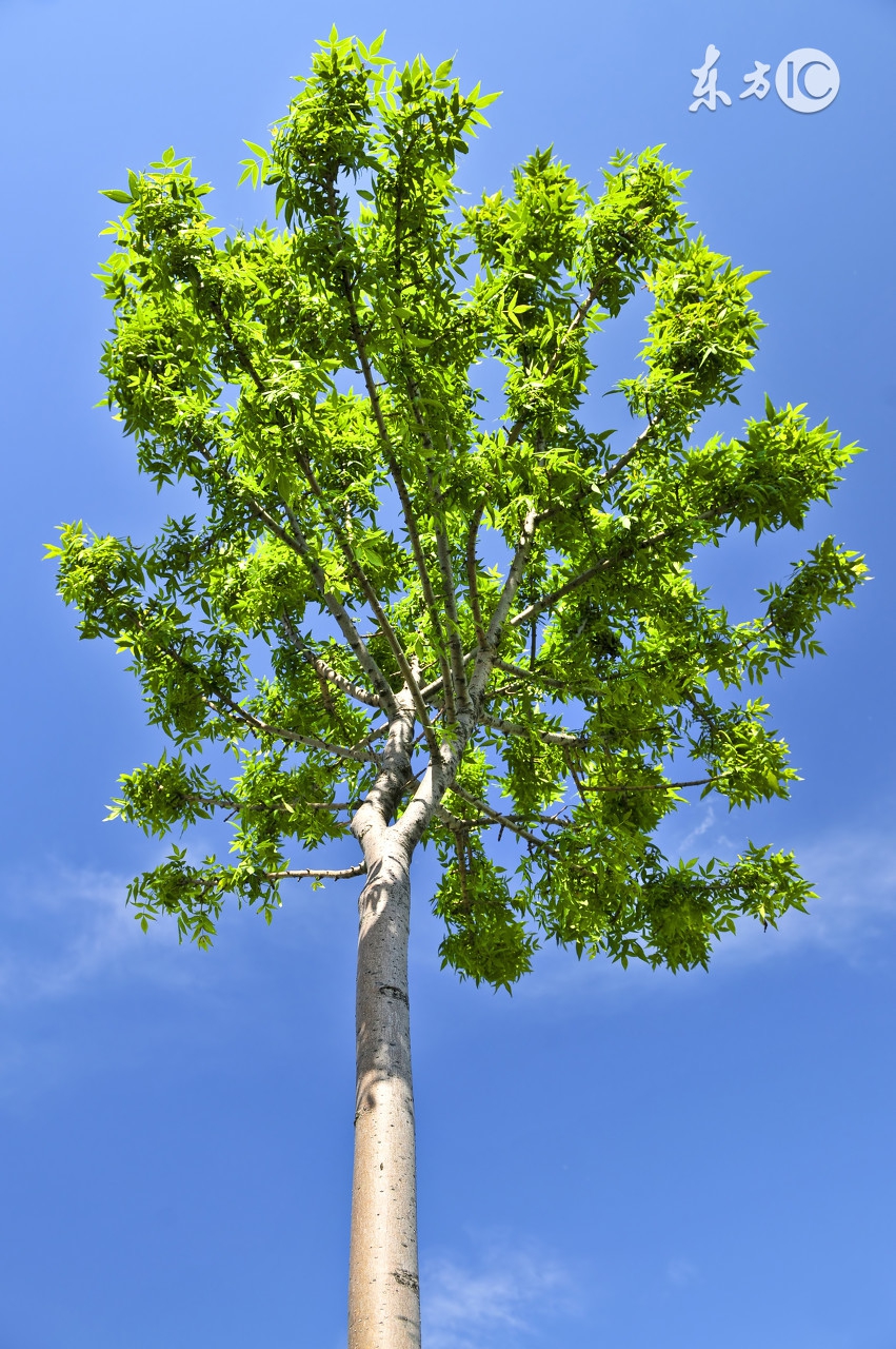 杨保志广州,杨保志