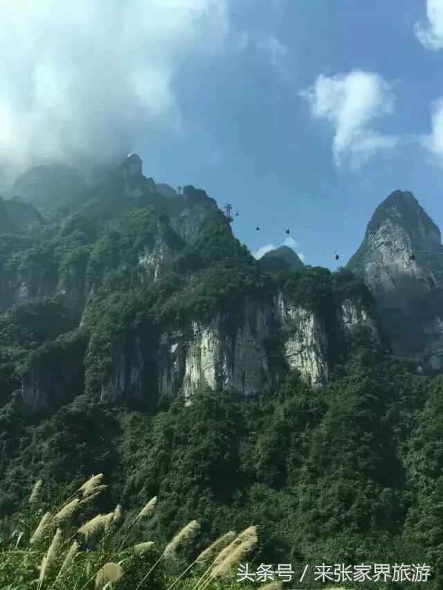张家界旅游攻略天门山二日游费用,张家界大峡谷玻璃桥自由行