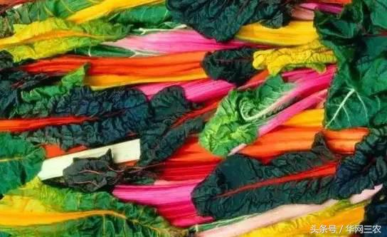 缅甸特产吃过3种算你牛？台州土特产出名啦看看有没有你老家的？网购的土特产都是家乡的味道？忻州特产？