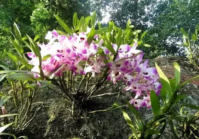 遵义旅游攻略美食特产带走,乐享遵义