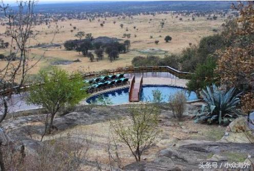 小众旅游地探索攻略,坦桑尼亚游猎攻略