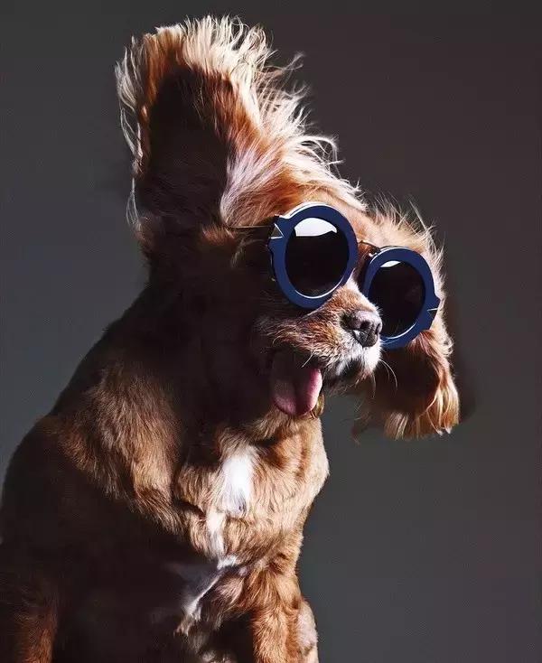 圈粉张柏芝、范爷、李湘，KarenWalker不愧是freestyle界老司机