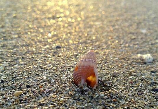 人到中年不碰三情的感悟,人到中年不交三种情不处三种人