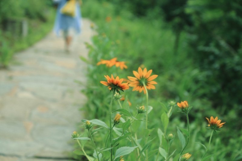 都说重庆热，但在她隔山相望的地方年均14-18度！