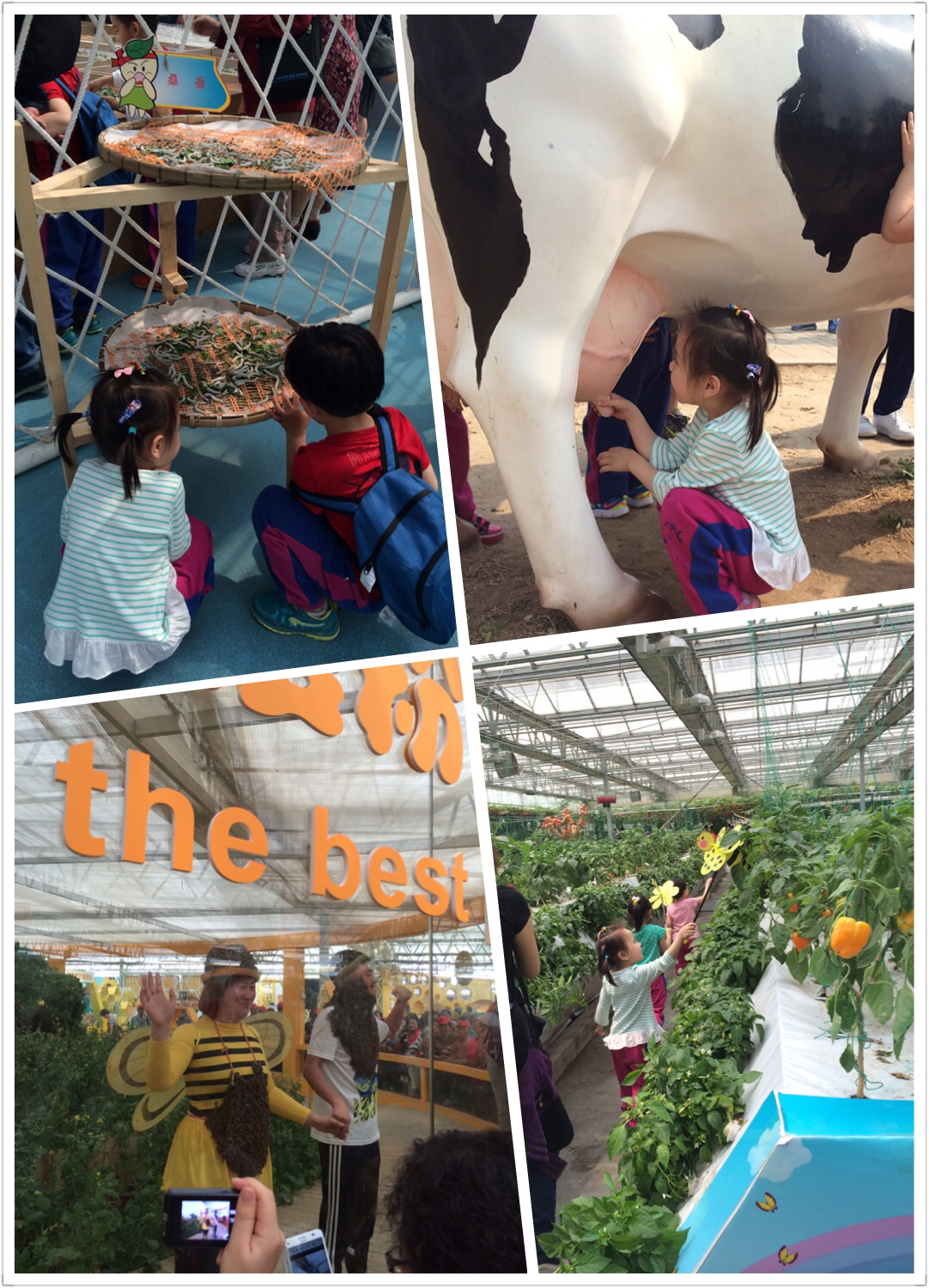 毕业季妈妈对幼儿园女儿的寄语,幼儿园毕业季家长走心礼物