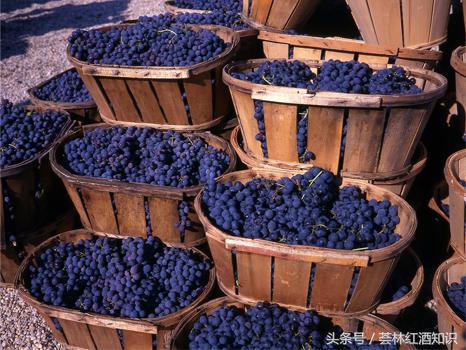 意大利葡萄酒品酒笔记-宝丽·费拉红葡萄酒