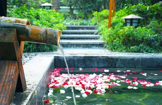 合肥逍遥津公园游乐场,合肥万达茂主题乐园游乐场