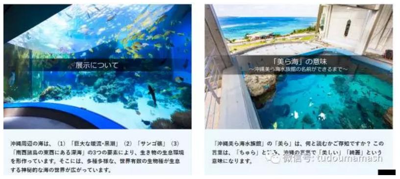 亲子暑假旅行好去处,日本冲绳亲子游自由行攻略图