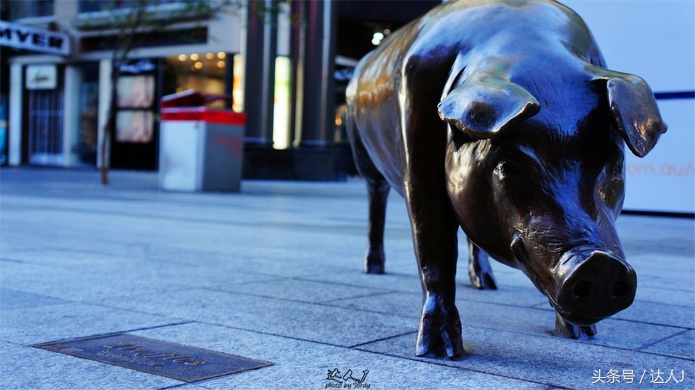 澳洲阿德莱德vs悉尼fc,阿德莱德对澳洲悉尼