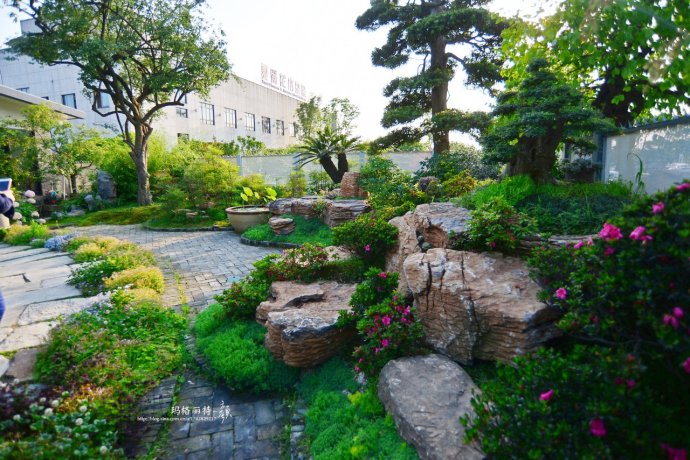 鎷滆涓滅鑽夊爞,鑺卞洯鎷滆