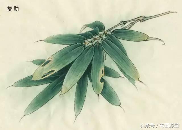 工笔画教学花卉,工笔画教学基础知识4