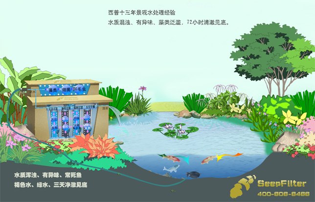 鱼池过滤品牌,鱼池过滤设备哪种好