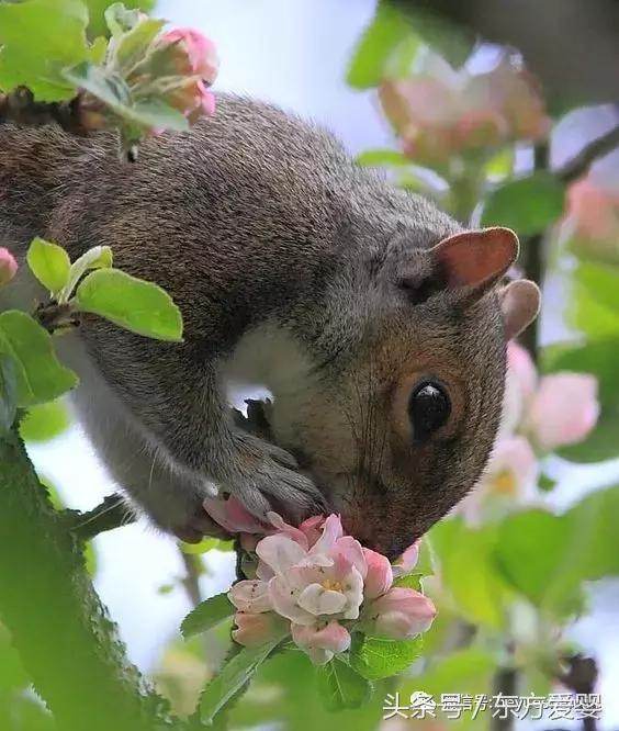 亲子互动手指谣,亲子互动手指谣小板凳
