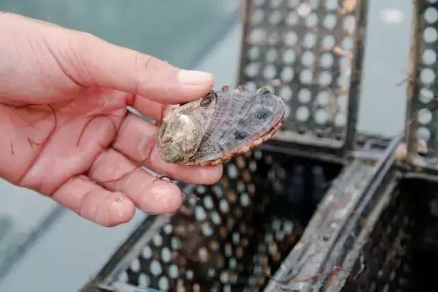 可溯金融的钱还能要回来吗,可溯金融会还钱吗