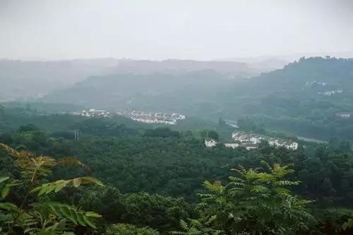 重庆市长寿区发展规划,重庆长寿区发展