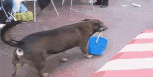 吹风机吹坏发根了怎么办,吹风机吹坏头发怎么办