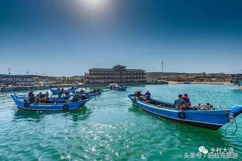蚂蚁岛一日游,蚂蚁岛半日游