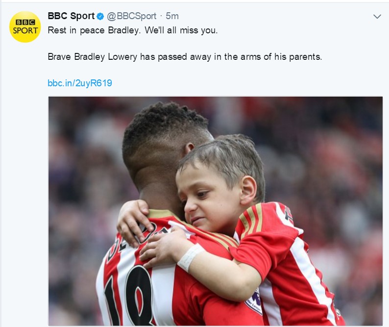 小布拉德利视频,小布拉德利最后的话