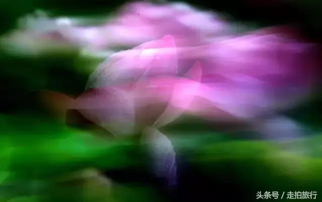 滁州有哪些地方可以下班去逛逛,滁州十大必去景点推荐