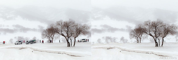 已故老人照片如何处理,处理照片的技巧和方法