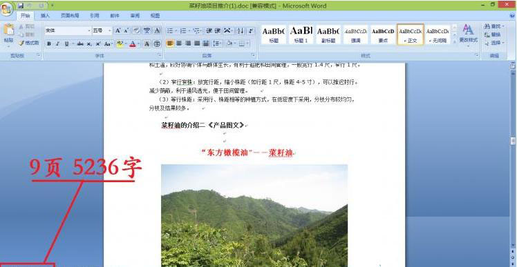 word页码乱码怎么恢复正常,word文件wps打开乱码如何解决